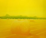 Meules de paille - huile sur toile - 180 x 150 cm - 2015