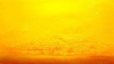 Champ de blé - huile sur toile - 150 x 80 cm - 2002